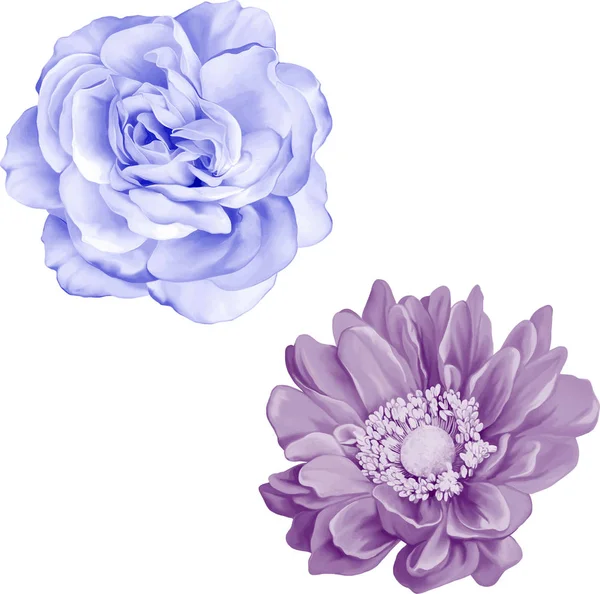 Güzel bahar çiçekleri