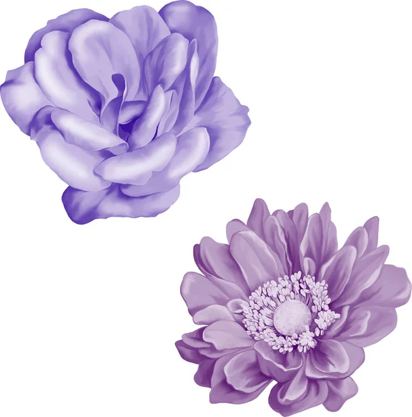 Güzel bahar çiçekleri