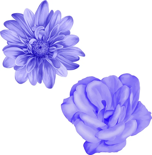 Güzel bahar çiçekleri