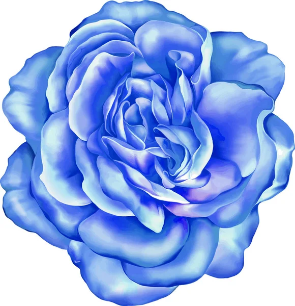 Gül çiçeği tomurcuk 