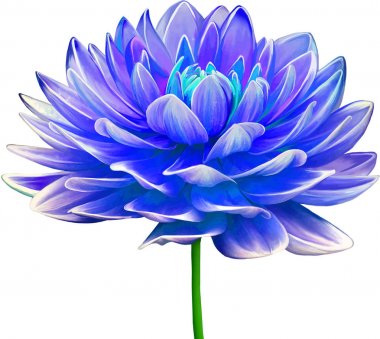 Güzel Bahar Çiçeği