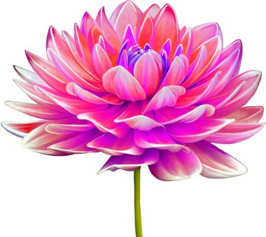 Güzel Bahar Çiçeği