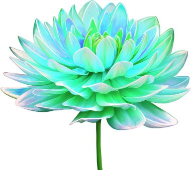 Güzel Bahar Çiçeği