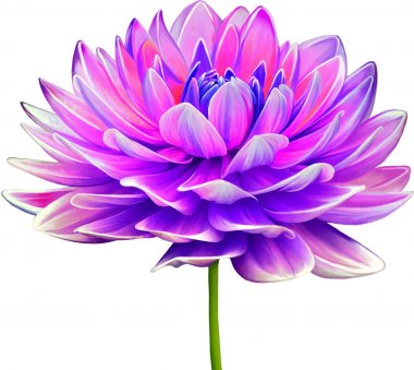 Güzel Bahar Çiçeği