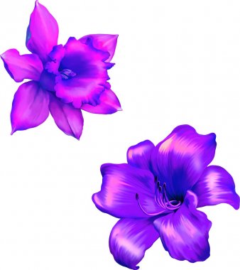 Güzel bahar çiçekleri