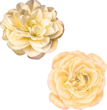 Güzel bahar çiçekleri