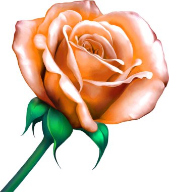 Güzel Bahar Çiçeği