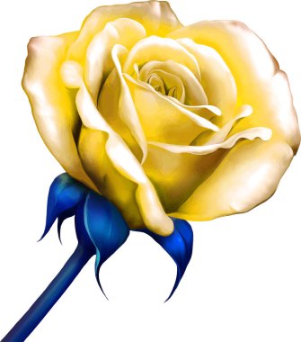 Güzel Bahar Çiçeği