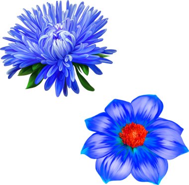 Güzel bahar çiçekleri