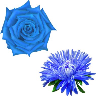 Güzel bahar çiçekleri