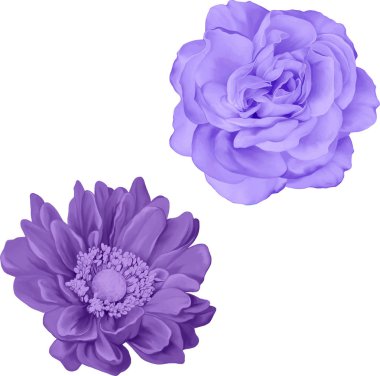 Güzel bahar çiçekleri