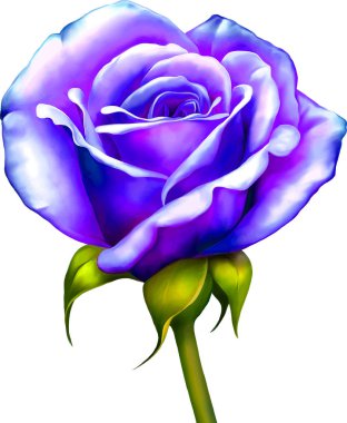 Güzel Bahar Çiçeği