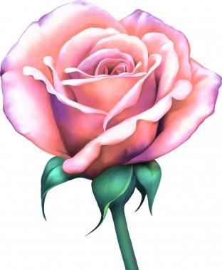 Güzel Bahar Çiçeği