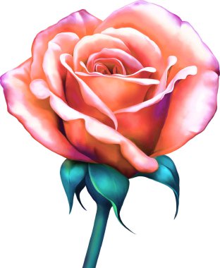 Güzel Bahar Çiçeği