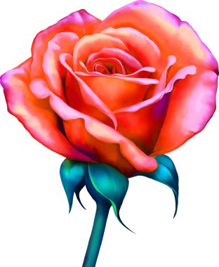 Güzel Bahar Çiçeği