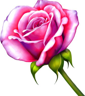 Güzel Bahar Çiçeği