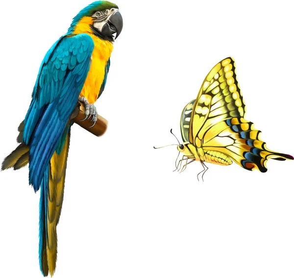 Beautiful parrot macaw — Stock Photo, Image