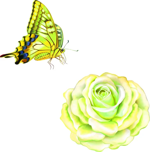 나비와 함께 신선한 꽃 — 스톡 사진