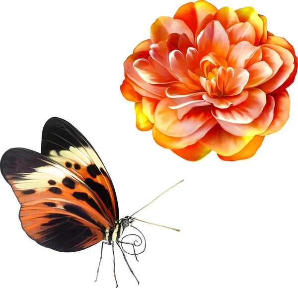 Свежий цветок с бабочкой — стоковое фото
