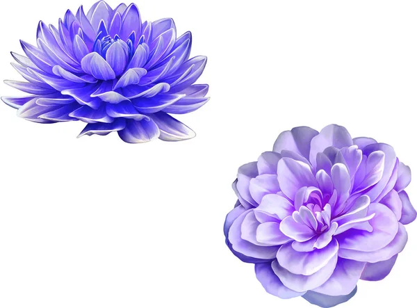 Illusztráció: szép virágok — Stock Fotó