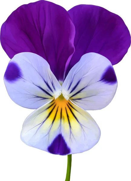 Красивый свежий цветок — стоковое фото