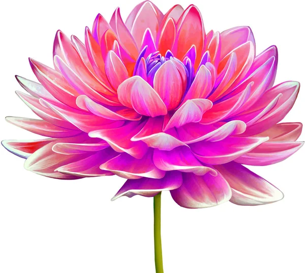 Güzel Bahar Çiçeği