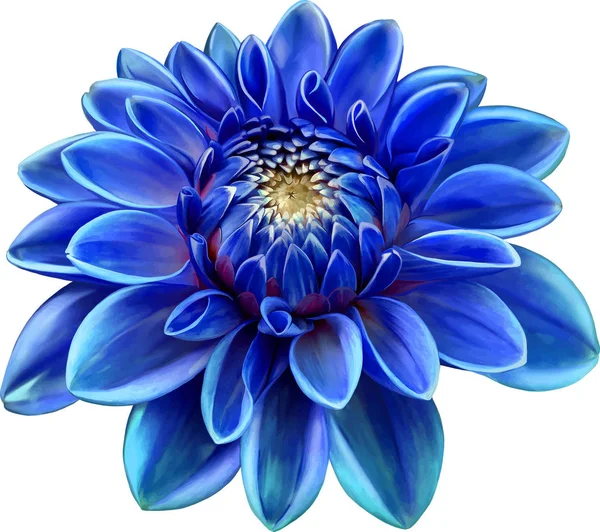 Hermosa flor redonda Dahlia azul — Foto de Stock