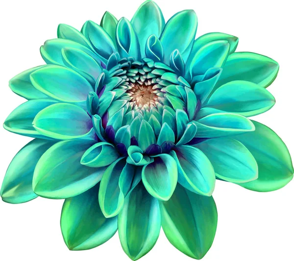 Bellissimo fiore rotondo verde Dahlia — Foto Stock