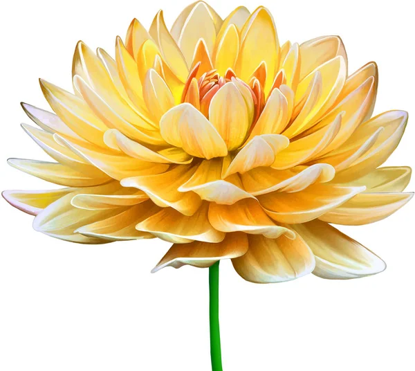 Güzel Bahar Çiçeği