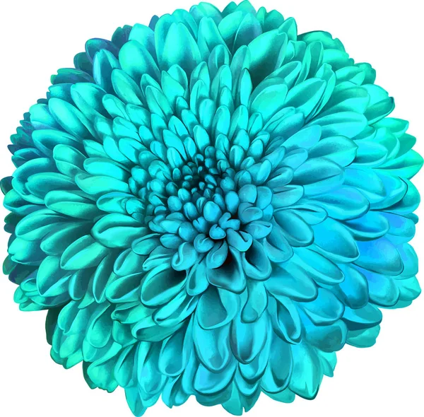 Beautiful hrizantenium flower — Stock Photo, Image
