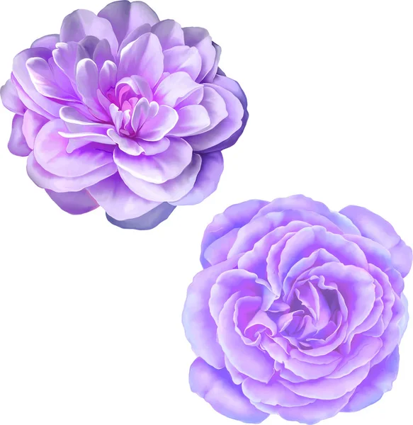 Gül çiçeği tomurcuk 