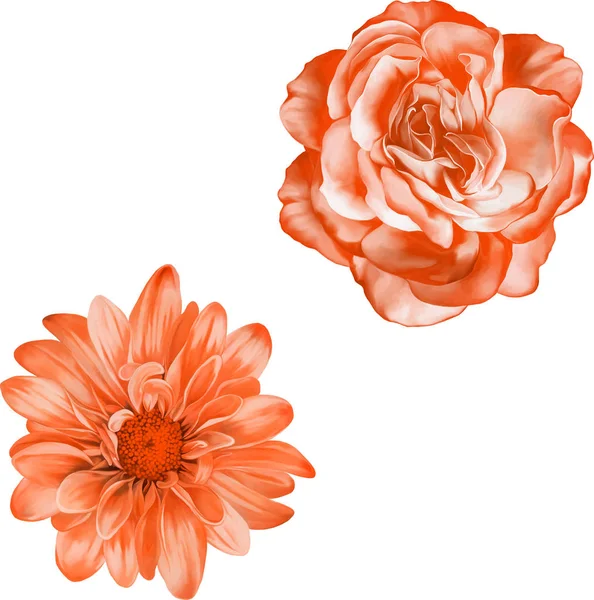 Helder oranje Rose en bloemen van de chrysant — Stockfoto