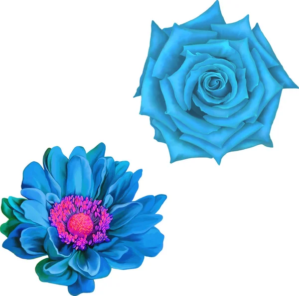Ljusa blå ros och krysantemum blommor — Stockfoto
