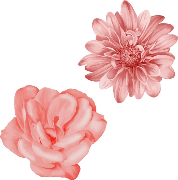 Güzel bahar çiçekleri