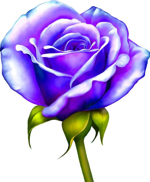 Güzel Bahar Çiçeği