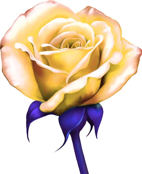 Hermosa flor de rosa amarillo claro — Foto de Stock