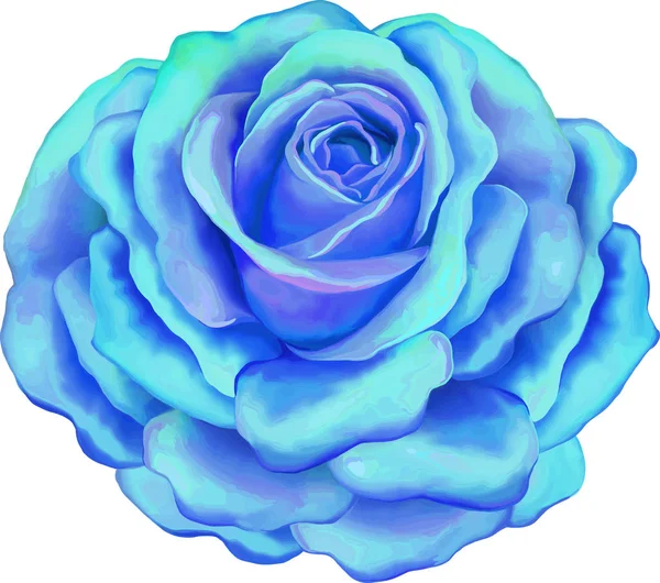 Bellissimo fiore di rosa azzurro — Foto Stock