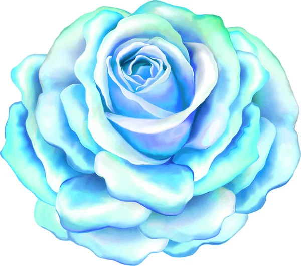 美光蓝玫瑰花 — 图库照片