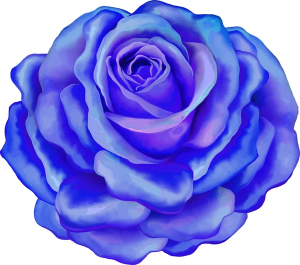 Schöne hellblaue Rose Blume — Stockfoto