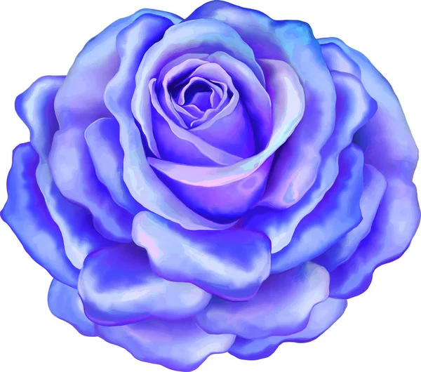 Gül çiçeği tomurcuk 