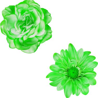 Güzel bahar çiçekleri