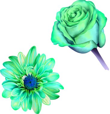 Güzel bahar çiçekleri