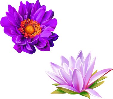 Güzel bahar çiçekleri