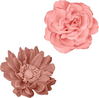 Güzel bahar çiçekleri