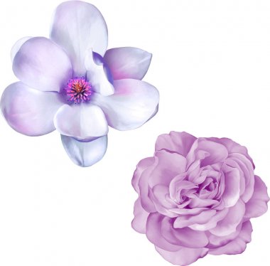 mavi mor gül ve Manolya çiçek