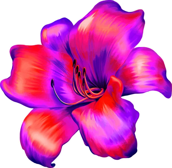 Piękny kwiat świeży — Zdjęcie stockowe