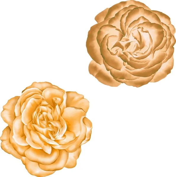 Güzel bahar çiçekleri