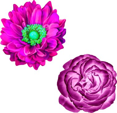 Güzel bahar çiçekleri