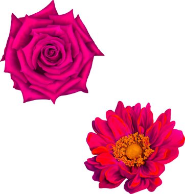 Güzel bahar çiçekleri