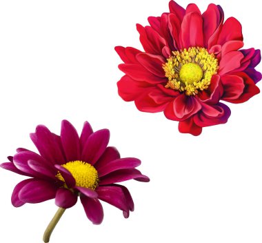 set bahar çiçekleri